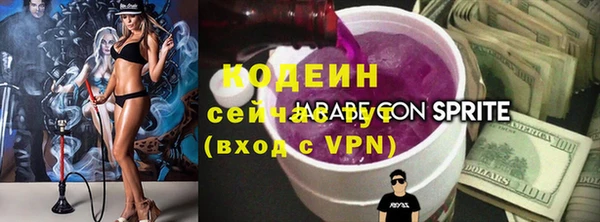 мдпв Снежногорск